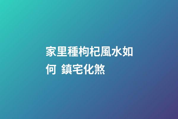 家里種枸杞風水如何  鎮宅化煞